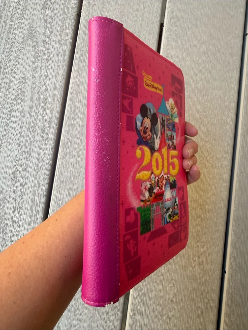 Disney Electronic Reader Case 2015 Walt Disney World Mickey Pink E-Reader Cover